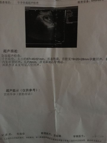 journal_insert_pic_461414572