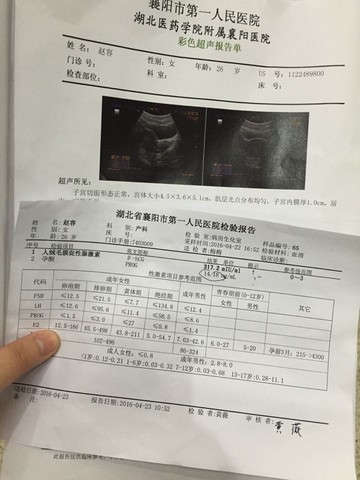 journal_insert_pic_461369202