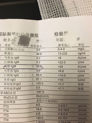 journal_insert_pic_461760445
