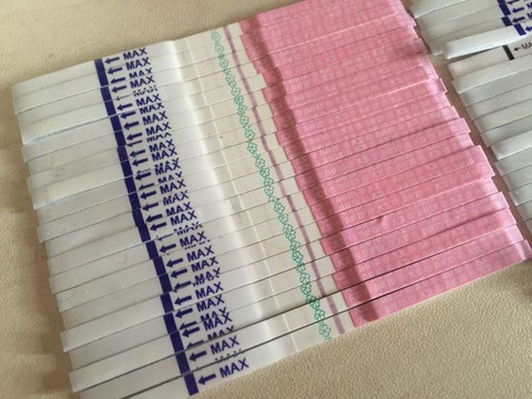 journal_insert_pic_462230331