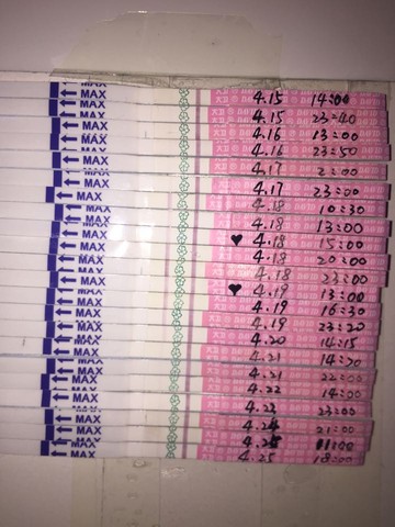 journal_insert_pic_462348576