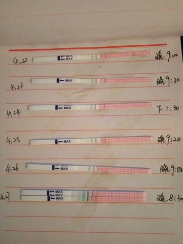 journal_insert_pic_463519988