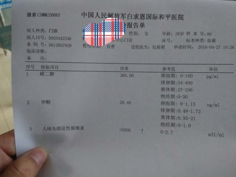 journal_insert_pic_463335069