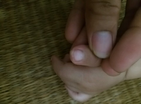 journal_insert_pic_463100915
