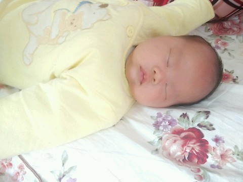 journal_insert_pic_465067705