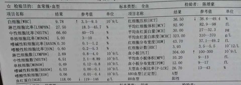journal_insert_pic_465134935