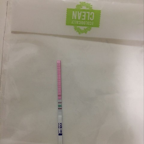 journal_insert_pic_466091205