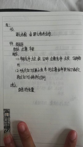 journal_insert_pic_466707863