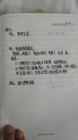 journal_insert_pic_466707587