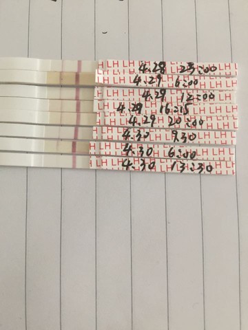 journal_insert_pic_466720001