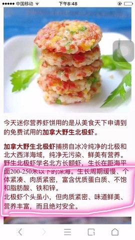 journal_insert_pic_466516857