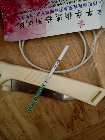 journal_insert_pic_467183234