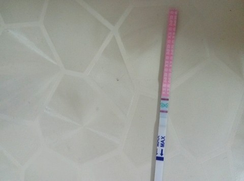 journal_insert_pic_467574860