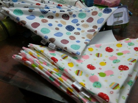 journal_insert_pic_467643968