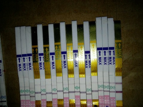 journal_insert_pic_467916664