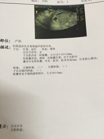 journal_insert_pic_468320077