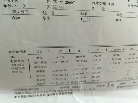 journal_insert_pic_468551322