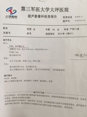 journal_insert_pic_468962942