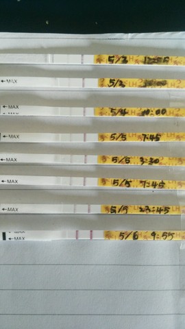 journal_insert_pic_470957980