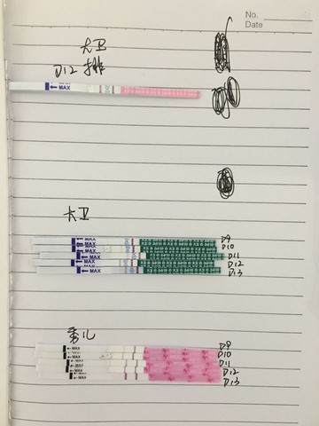 journal_insert_pic_472434016