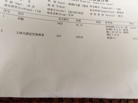 journal_insert_pic_473813367