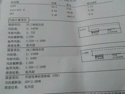 journal_insert_pic_475737867