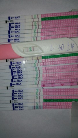 journal_insert_pic_476271055
