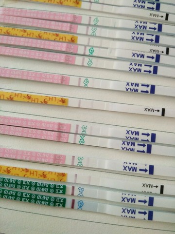 journal_insert_pic_477223666