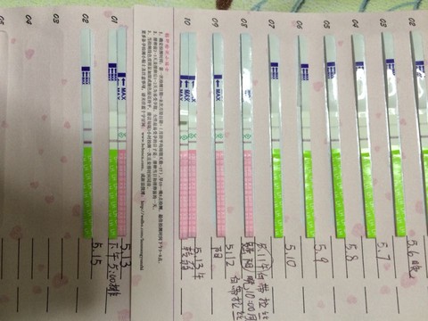 journal_insert_pic_479423468