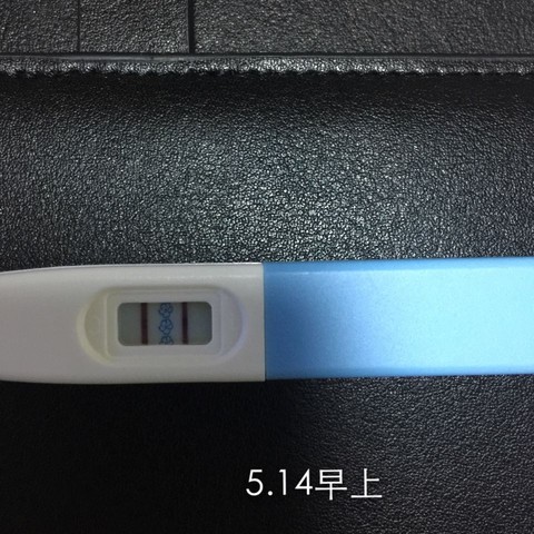 journal_insert_pic_479048845