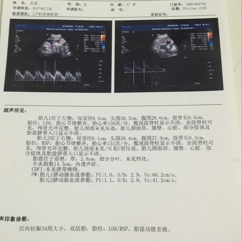 journal_insert_pic_479693154