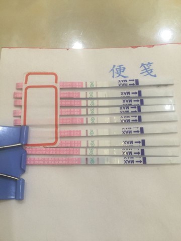 journal_insert_pic_483235399