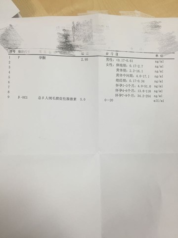 journal_insert_pic_482775898