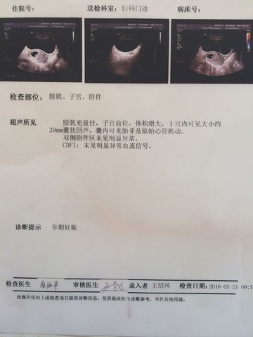 journal_insert_pic_484597380