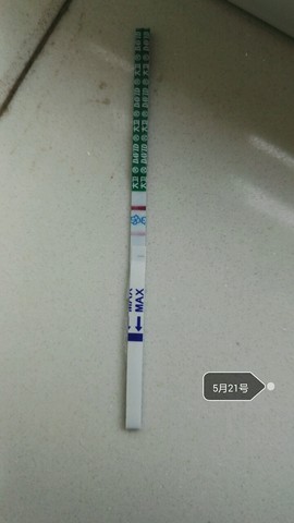journal_insert_pic_484583504