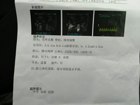 journal_insert_pic_485739286
