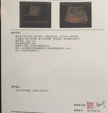 journal_insert_pic_486223872