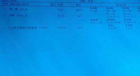 journal_insert_pic_487569014