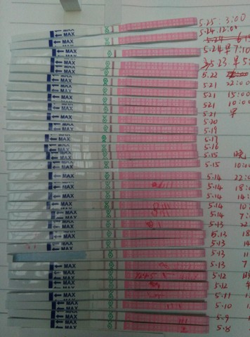 journal_insert_pic_488376906