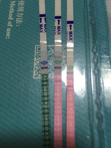 journal_insert_pic_488133337
