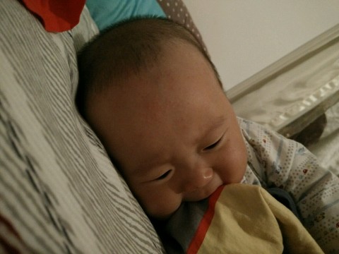 journal_insert_pic_488147654