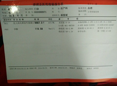 journal_insert_pic_488270755