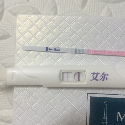 journal_insert_pic_489794318