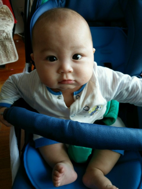 宝贝抓的能力有所提高 陈迪迪 发私信        关注 已有宝宝1岁11个月