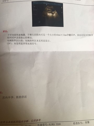journal_insert_pic_489483309