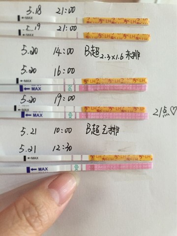 journal_insert_pic_489626560
