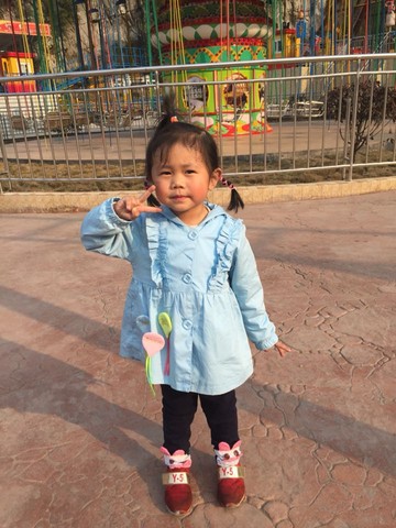 journal_insert_pic_491563155