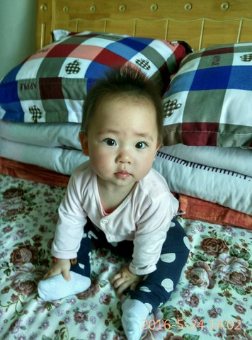 journal_insert_pic_491589635