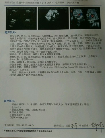 journal_insert_pic_492149498