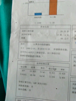 journal_insert_pic_493425930